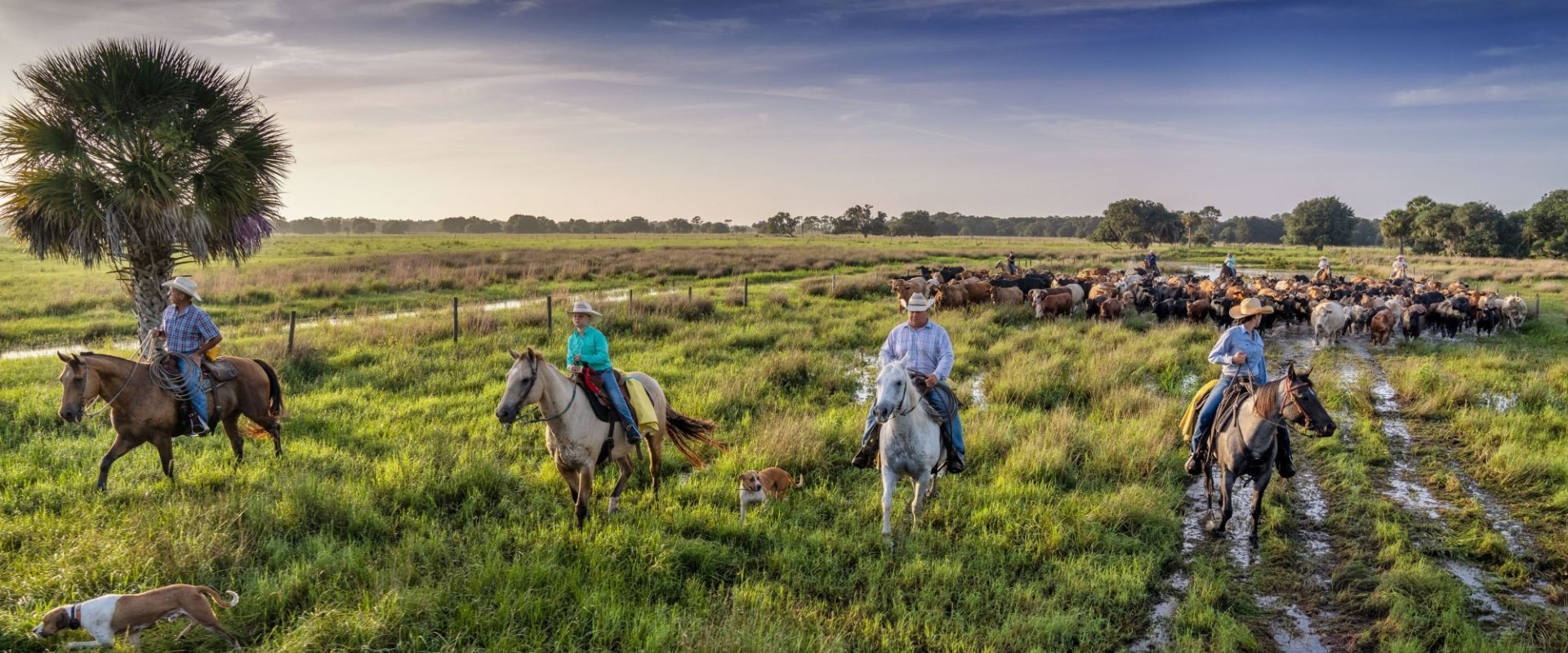 The Power of Collaboration and Cooperation: Advocacy in Northwest Florida