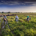 The Power of Collaboration and Cooperation: Advocacy in Northwest Florida