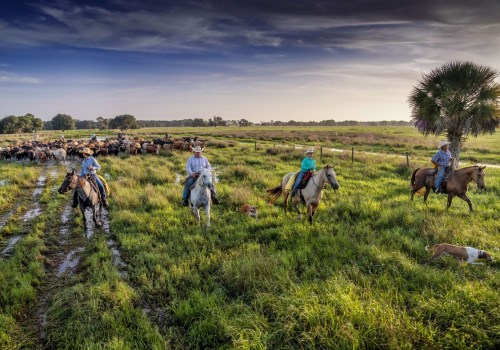 The Power of Collaboration and Cooperation: Advocacy in Northwest Florida